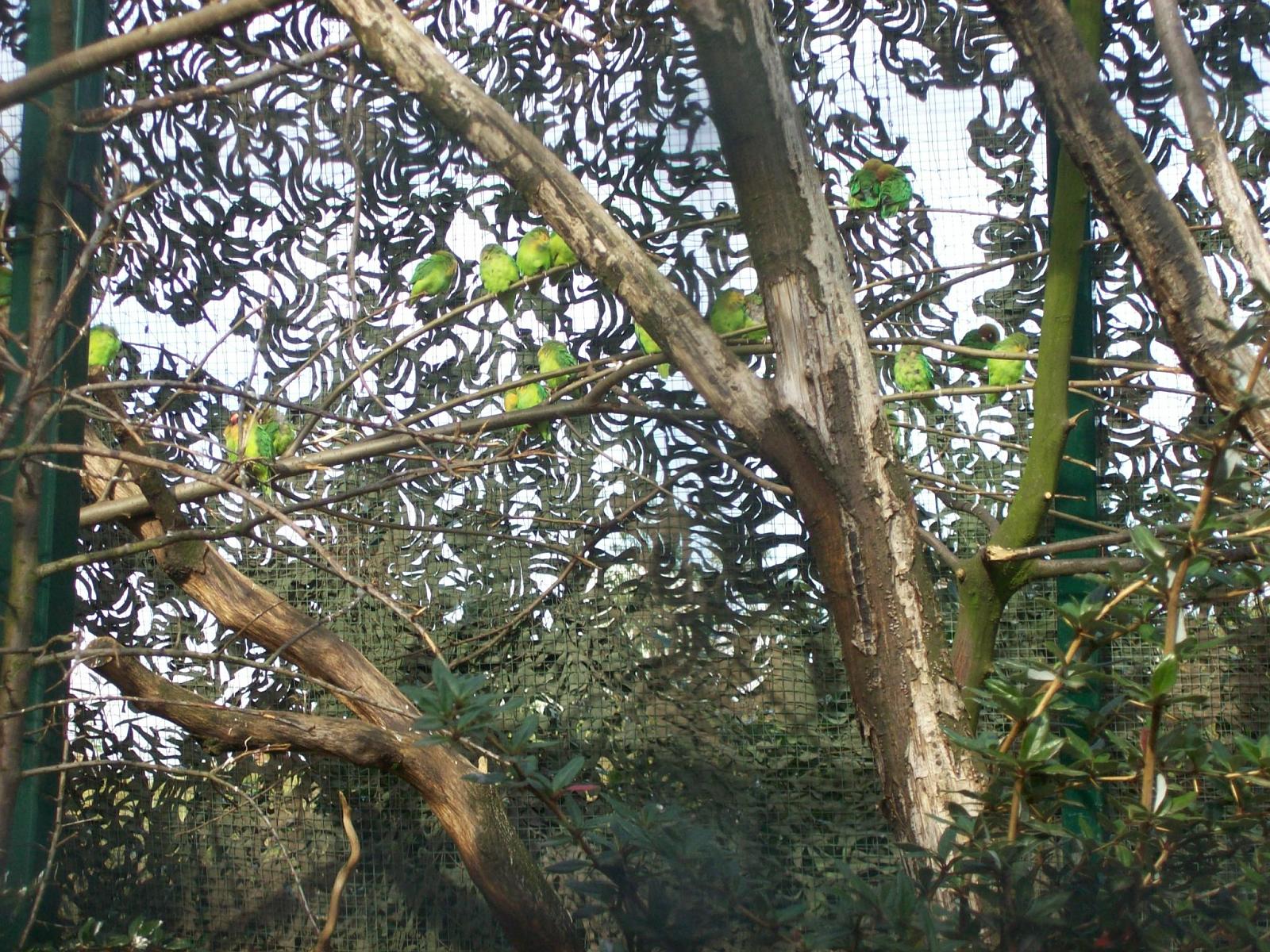 Zoom 18.10.2008-096.jpg